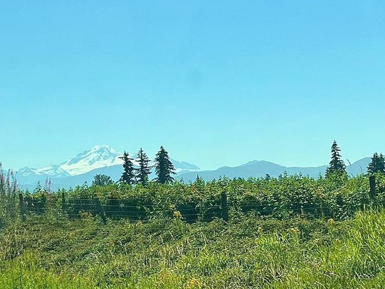 地平线上的Mt Baker