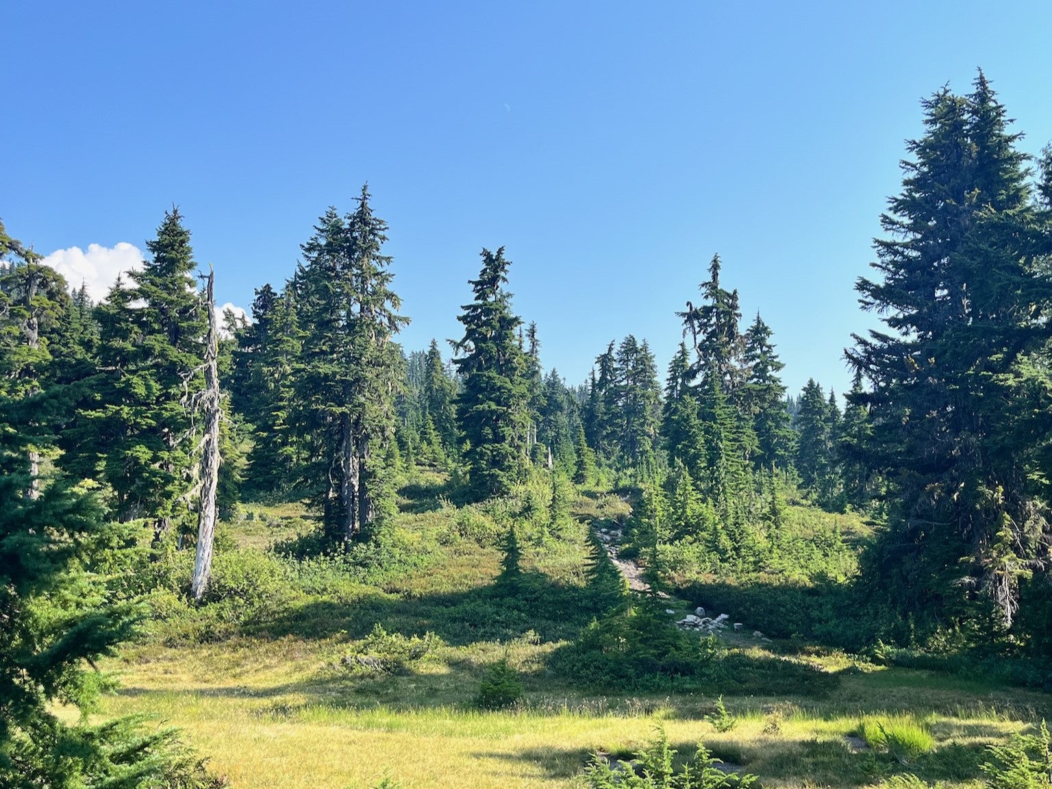 过了shelter就可以开始能看到些远方的风景